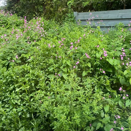 Campsite Cosy Double Shepherds Hut In Beautiful Wicklow With Underfloor Heating Throughout