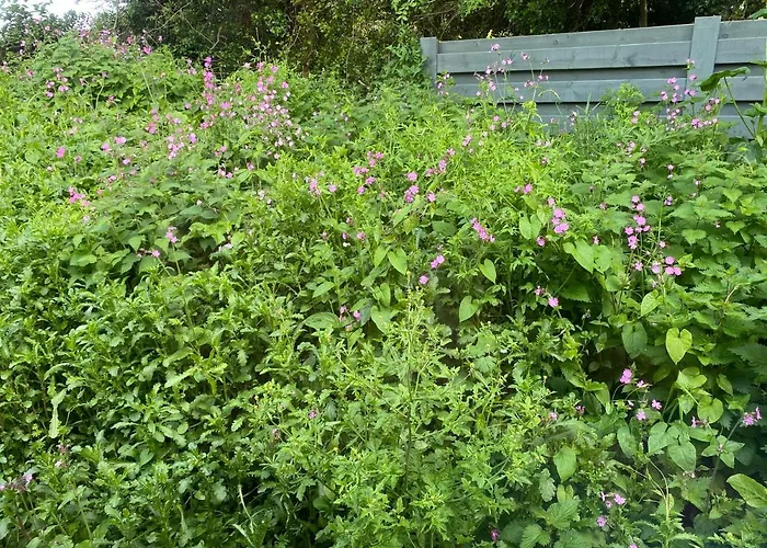 Campsite Cosy Double Shepherds Hut In Beautiful Wicklow With Underfloor Heating Throughout