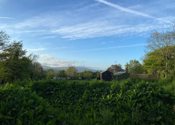 Campsite Cosy Double Shepherds Hut In Beautiful Wicklow With Underfloor Heating Throughout Rathnew