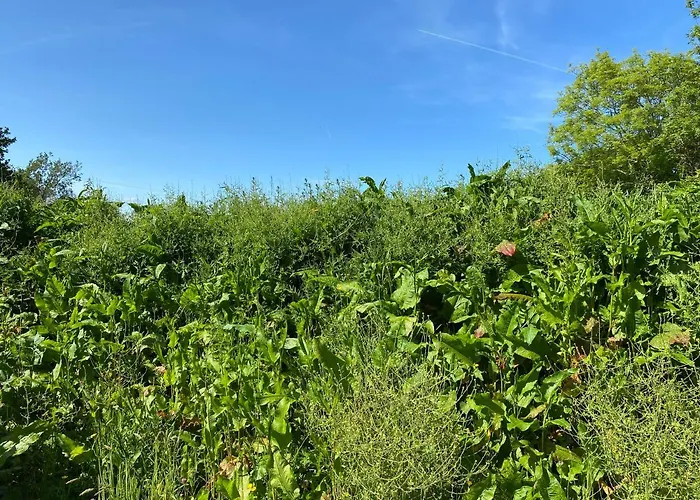 Cosy Double Shepherds Hut In Beautiful Wicklow With Underfloor Heating Throughout *